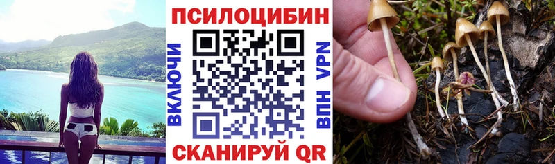 Псилоцибиновые грибы прущие грибы  Лиски 
